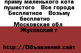 приму маленького кота пушистого - Все города Бесплатное » Возьму бесплатно   . Московская обл.,Жуковский г.